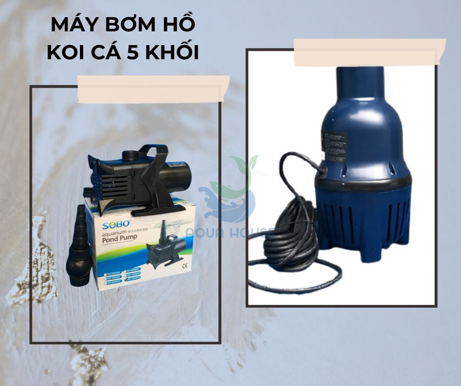 MÁY BƠM HỒ CÁ KOI 5 KHỐI
