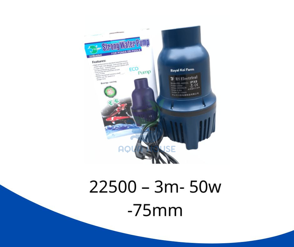 Top Máy Bơm Hồ Cá Koi 5 Khối Đáng Mua Nhất 39 Máy bơm Strong Water RS 22500, giải pháp tiết kiệm điện năng cho hồ cá Koi với hiệu suất vượt trội