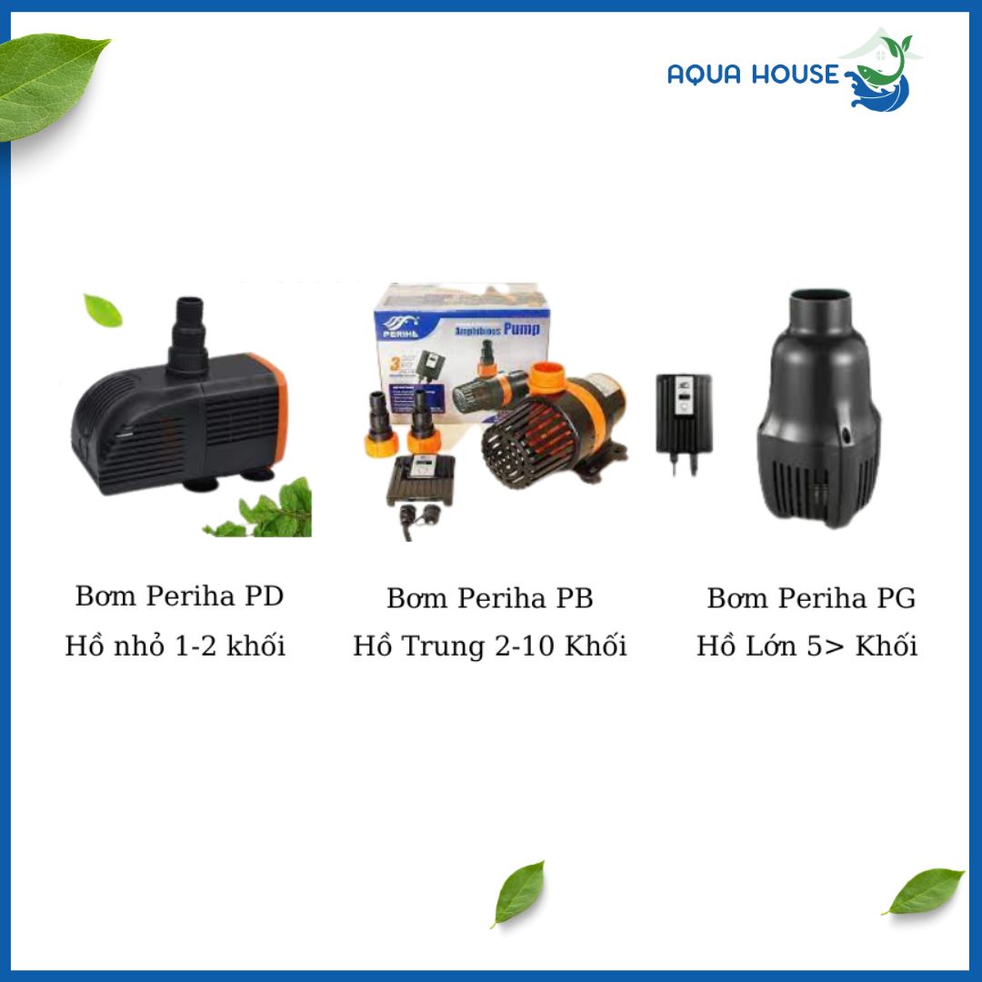 may bom periha