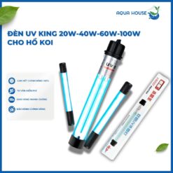 Đèn uv king diệt rêu tảo