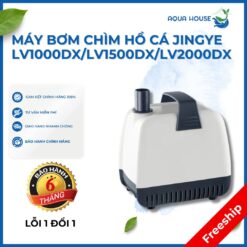 Máy bơm chìm hồ cá jingye