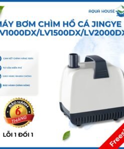 Máy bơm chìm hồ cá jingye