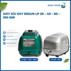 Máy Sủi Oxy Resun LP (20 – 40 – 60 – 100 – 200) – Lựa Chọn Tốt Cho Hồ Cá Koi