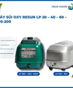 Máy Sủi Oxy Resun LP (20 – 40 – 60 – 100 – 200) – Lựa Chọn Tốt Cho Hồ Cá Koi