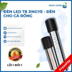 Đèn led t8 Jingye - đèn cho cá rồng