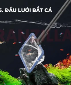 vn 11134207 7ras8 m2wnu9x3fdgwea