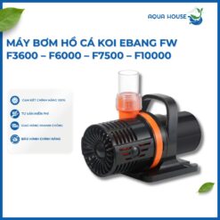 Máy Bơm Ebang Hồ Cá Koi FW F3800 - F6000 - F7500 - F10000 - F13000 - F16000 - F18000 - F22000 - F28000 - F38000
