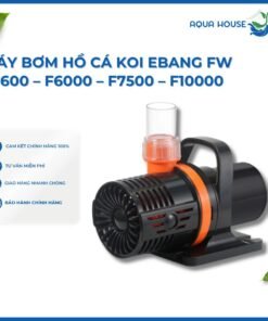 Máy Bơm Ebang Hồ Cá Koi FW F3800 - F6000 - F7500 - F10000 - F13000 - F16000 - F18000 - F22000 - F28000 - F38000