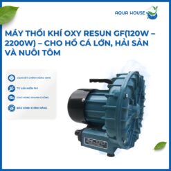 Máy thổi khí con sò