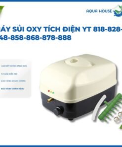 Trang chủ 378 Máy sủi tích điện YT