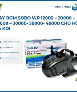 máy bơm Sobo cho hồ cá koi