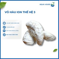 Vỏ hàu Ion thế hệ 3