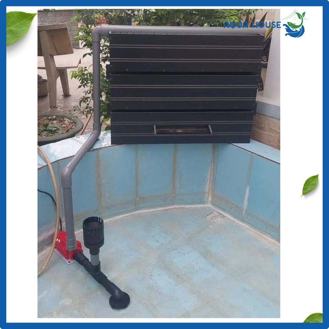 BAKKI COMPOSITE KÈM BƠM VÀ HÚY MẶT