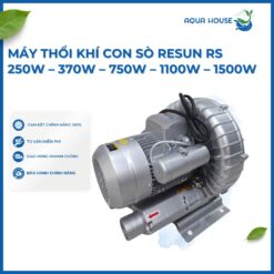 Máy sủi oxy con sò lớn