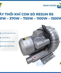 Máy sủi oxy con sò lớn