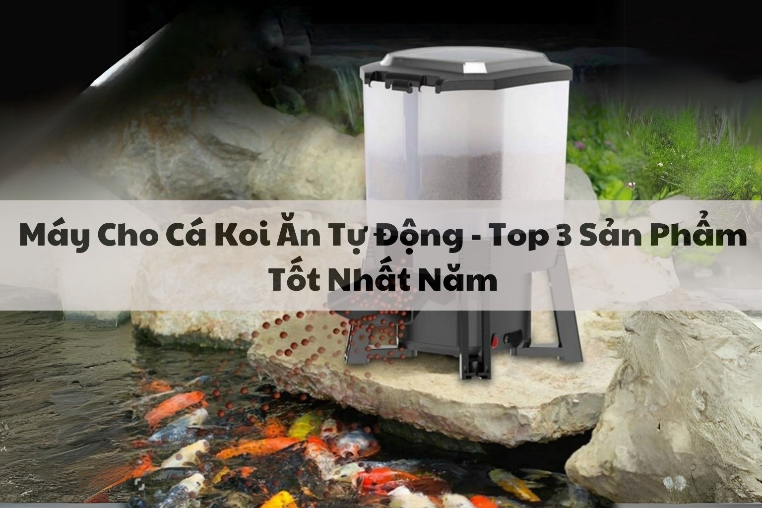 Bí Quyết Chọn Máy Cho Cá Koi Ăn Tự Động - Top 3 Sản Phẩm Tốt Nhất Năm 213 MÁY CHO CÁ ĂN TỰ ĐỘNG