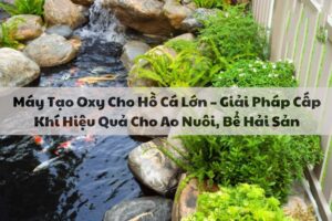 Máy Tạo Oxy Cho Hồ Cá Lớn – Giải Pháp Cấp Khí Hiệu Quả Cho Ao Nuôi, Bể Hải Sản 159 Máy Tạo Oxy Cho Hồ Cá Lớn