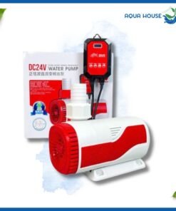 Máy bơm baoyu DC 24v điện 1 chiều