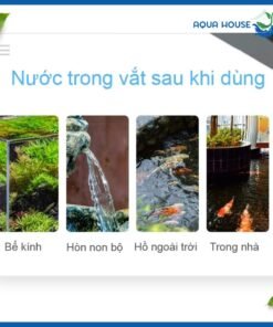 Nước trong sau khi sử dụng đèn Aqua +