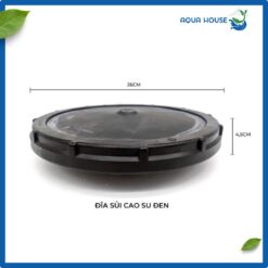 Kích thước đĩa sủi đức