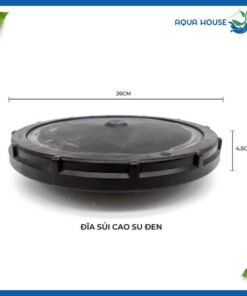 Kích thước đĩa sủi đức