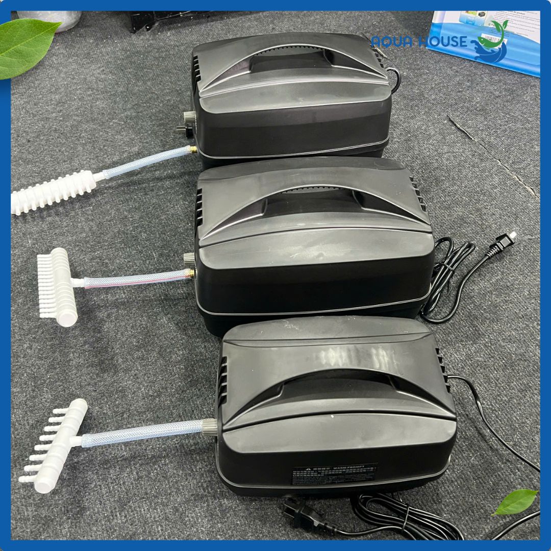 Máy Sủi Oxy Tích Điện Hailea CP 40 - CP 70 - CP 100 - Bảo Hành 6 Tháng 27 Máy sủi tích điện Cp 40, cp 70, cp 100