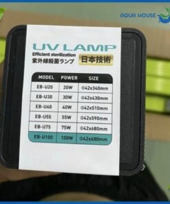Thông số chính xác đèn UV ebang diệt rêu tảo cho hồ cá koi