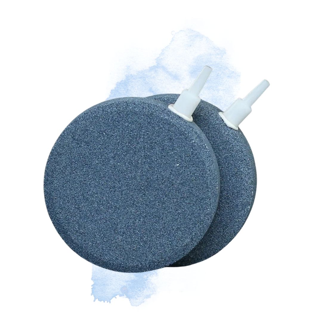 ĐĨA SỦI CHO BỂ CÁ HỒ CÁ PHI 10CM /12CM /15CM /20CM /30CM/6CM/8CM - Đĩa sủi 15cm