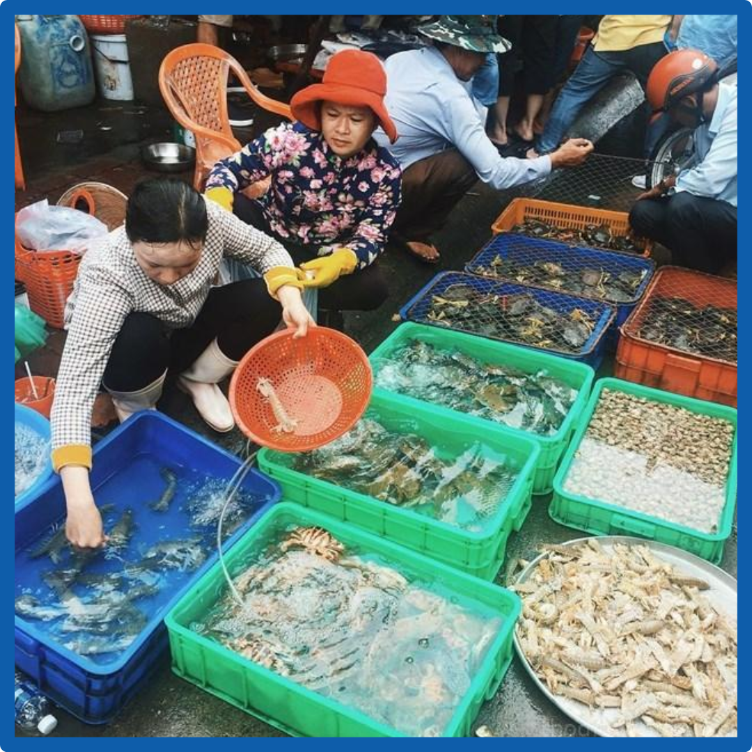 Máy Sủi Oxy Cho Hồ Cá – Cung Cấp Oxy Liên Tục, Giữ Cá Luôn Khỏe Mạnh 4 1