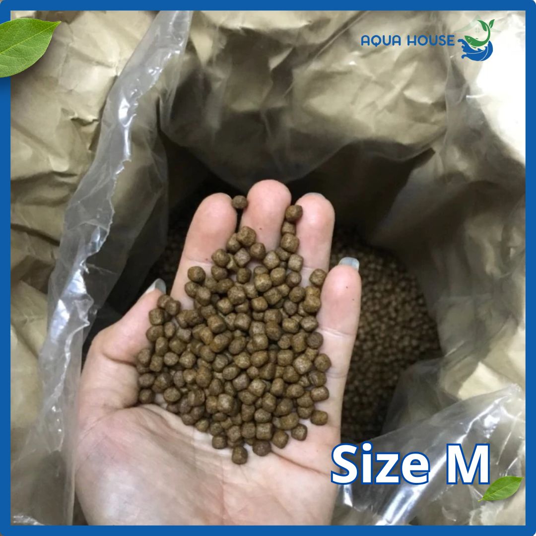 Cám Cá Koi Hikari 15Kg - Thương Hiệu Cám Từ Nhật Bản 17 Cám cá koi Hikari size M