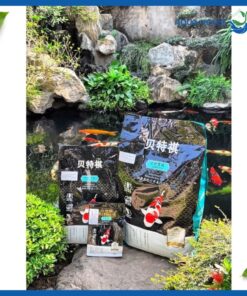 Cám Cá Koi Bethech Growth