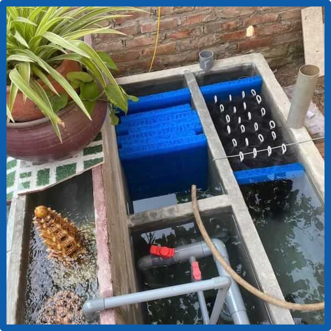 Tổng Hợp Các Dòng Máy bơm hồ cá Koi Tốt Nhất – Bơm tạt, bơm chìm, tiết kiệm điện cho hồ cá ngoài trời 2 Máy bơm tạt, lưu lượng mạnh mẽ, bơm nước vào bộ lọc