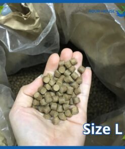 Cám cá koi Hikari size L