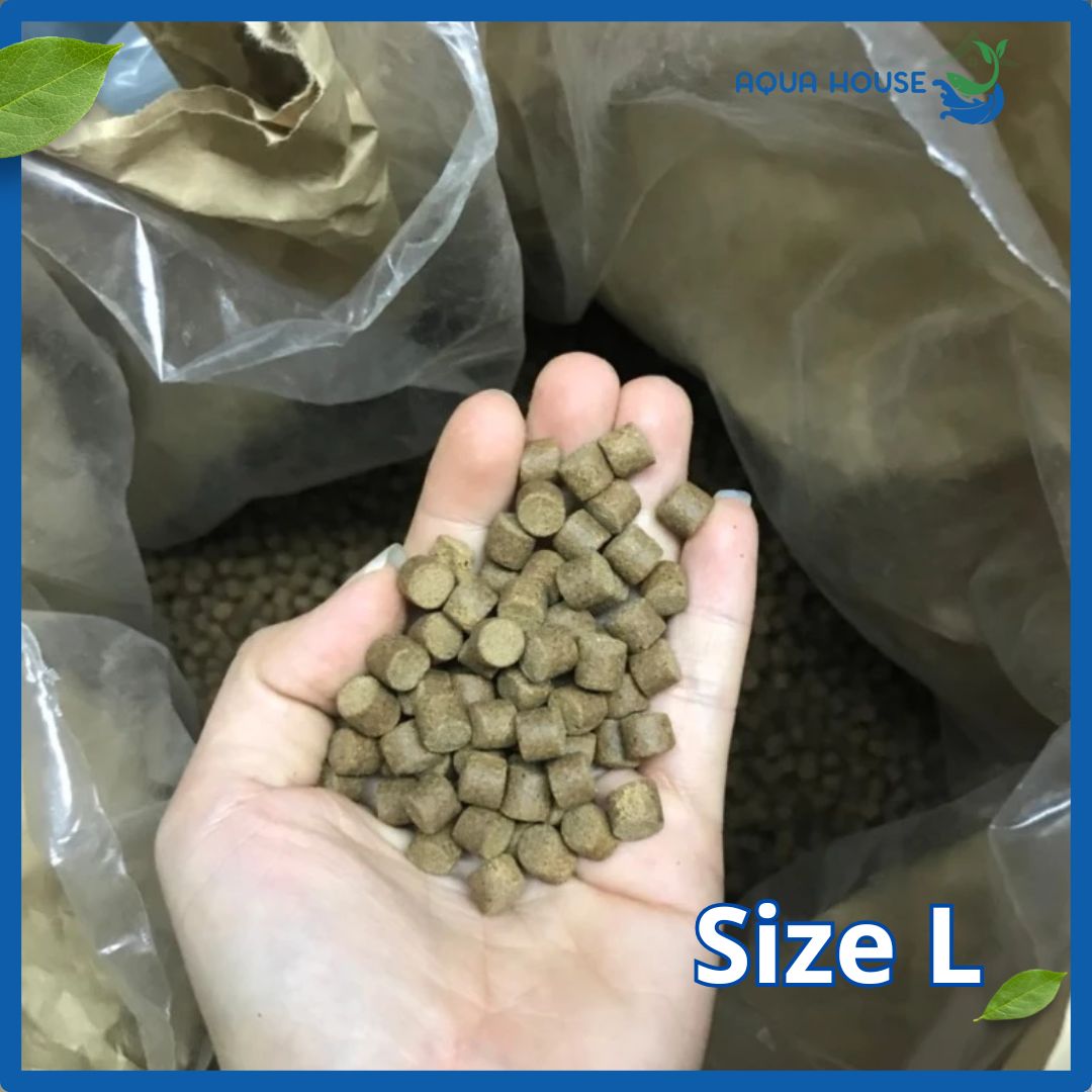 Cám Cá Koi Hikari 15Kg - Thương Hiệu Cám Từ Nhật Bản 16 Cám cá koi Hikari size L