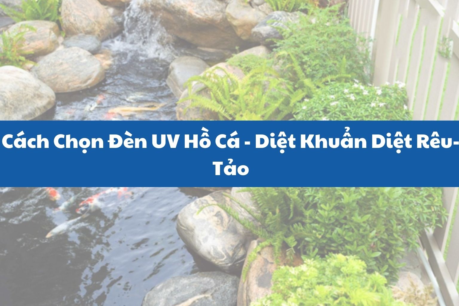 Cách Chọn Đèn UV Hồ Cá - Diệt Khuẩn Diệt Rêu-Tảo