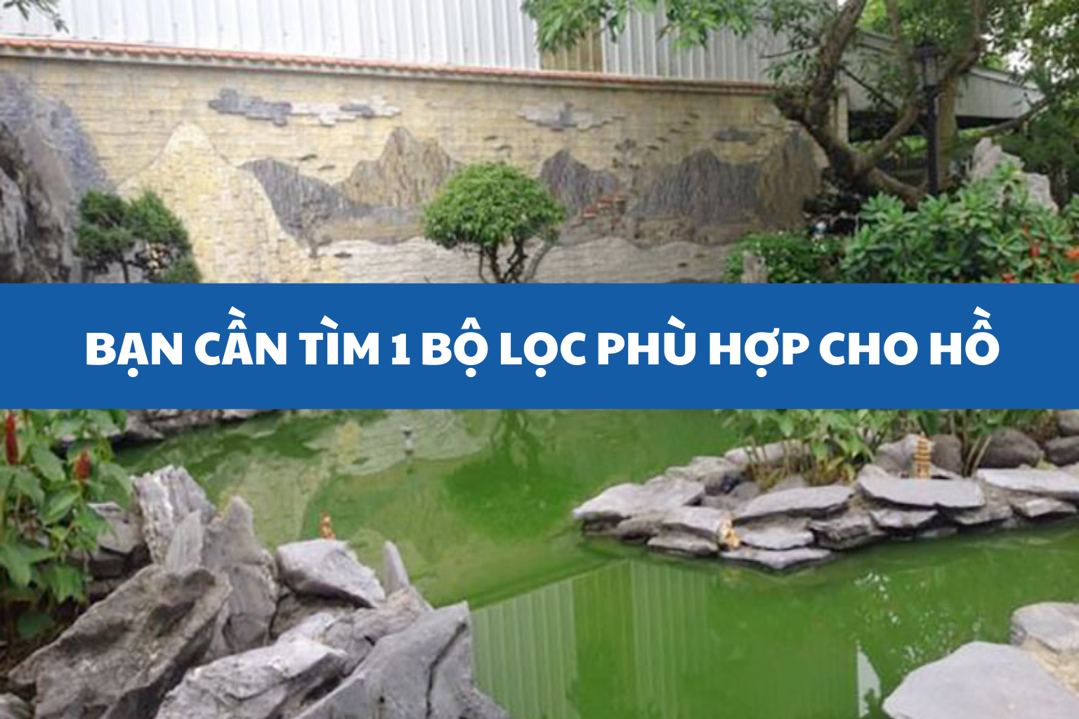 Máy Lọc Nước Hồ Cá Ngoài Trời – Bí Quyết Nước Trong, Cá Khỏe 10 Cần tìm bộ lọc làm nước hồ trong hơn