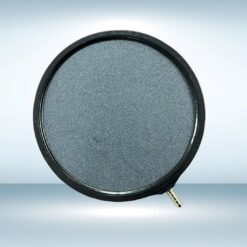 Đĩa sủi oxy 20cm loại tốt cho dân chơi cá koi