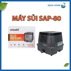 Máy sủi oxy Sap 80