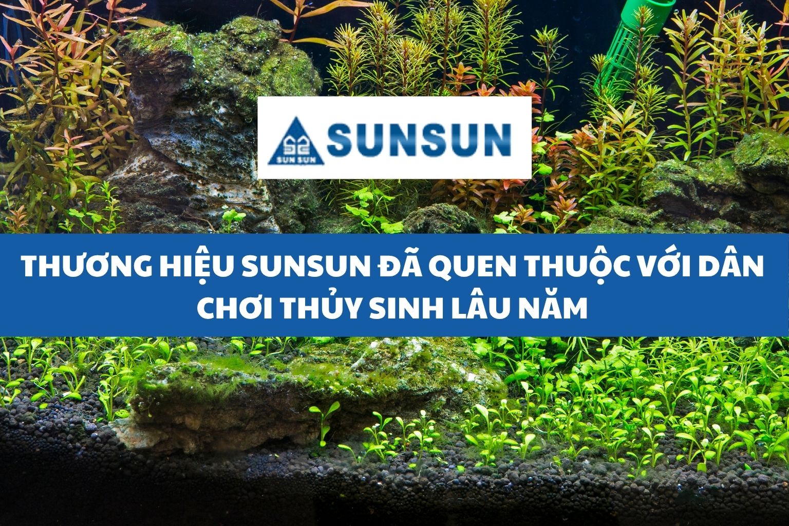 THƯƠNG HIỆU SUNSUN