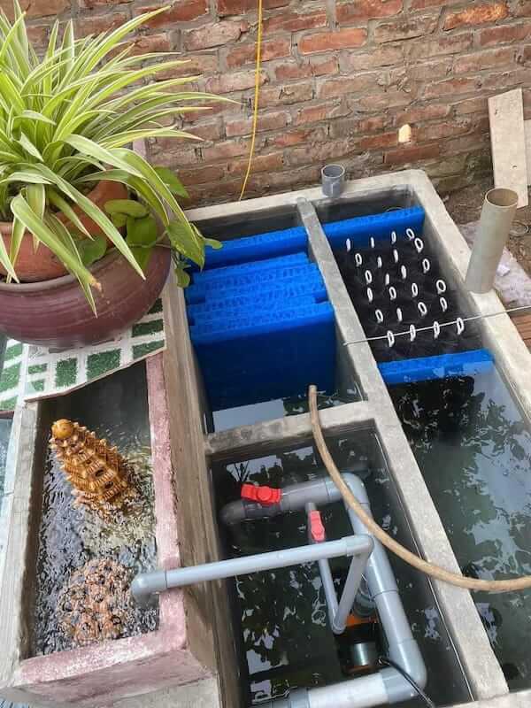 Hệ thống lọc hồ cá Koi ngoài trời với máy bơm Periha làm trái tim