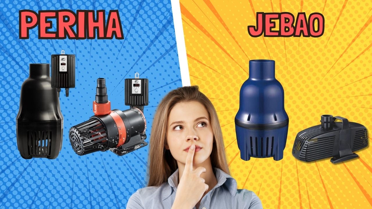 so sanh bom periha va bom jebao