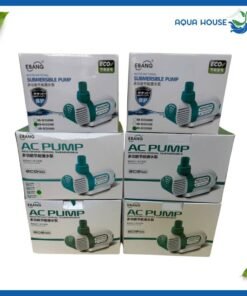 Tất cả các dòng ebang Eco Pump
