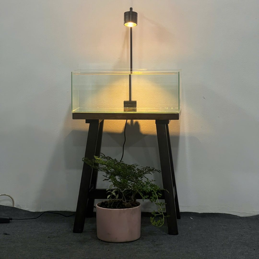 Combo hồ thủy sinh setup sẵn – Shallow Tank 40x20x15cm (kèm chân, lọc, đèn) 5 2