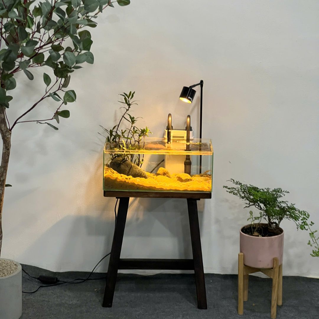 Combo hồ thủy sinh setup sẵn – Shallow Tank 40x20x15cm (kèm chân, lọc, đèn) 7 3