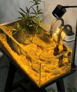 Trang chủ 241 Hồ cá thủy sinh