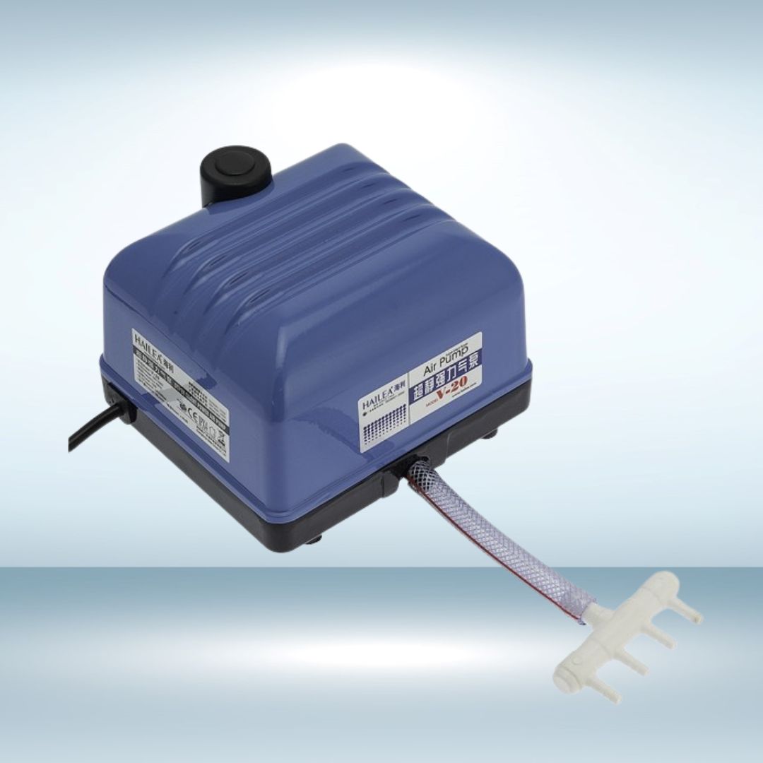 Máy Sủi Oxy Siêu Êm Hailea Super Silent Air