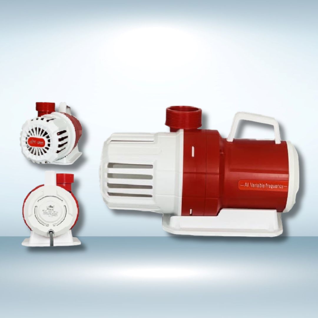 Phụ kiện hồ koi chất lượng – Mua sỉ & lẻ tại Aqua House 31 Máy bơm Baoyu By P