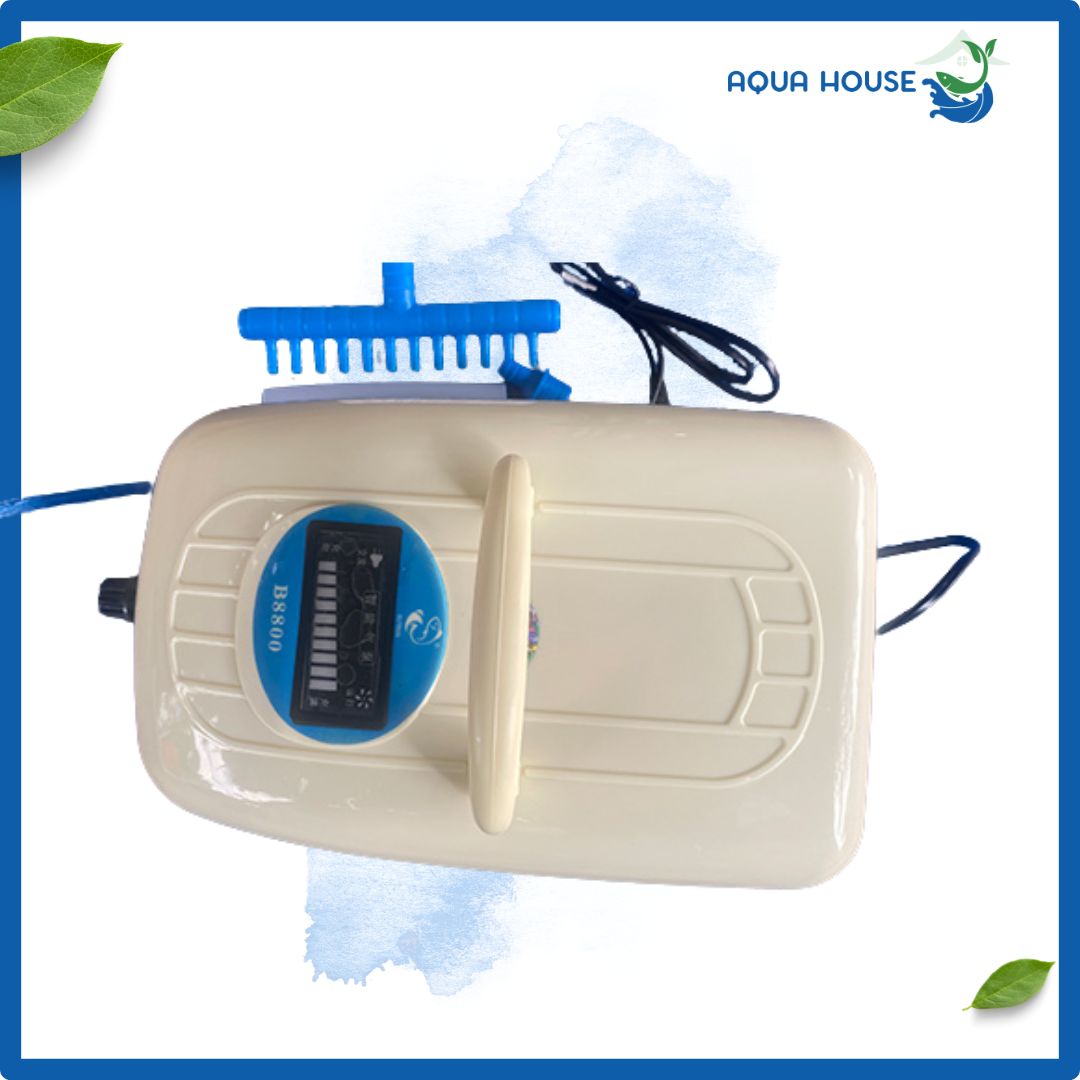 Máy Sục Khí Oxy Tích Điện Dutron 95L ,210L, 750L - Dùng Trên 10 Tiếng 5 3