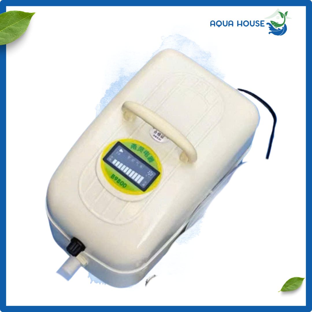 Máy Sục Khí Oxy Tích Điện Dutron 95L ,210L, 750L - Dùng Trên 10 Tiếng 7 5