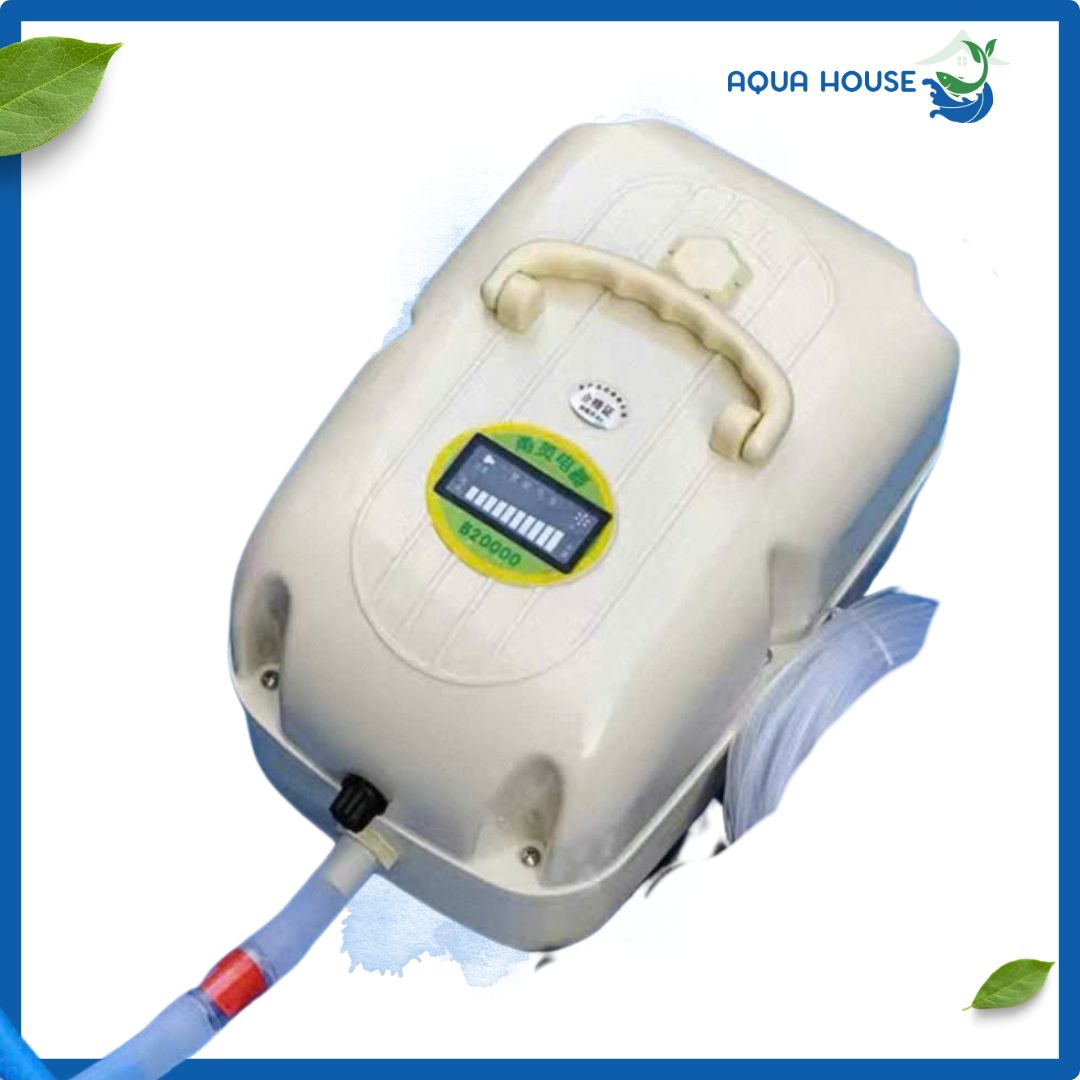 Máy Sục Khí Oxy Tích Điện Dutron 95L ,210L, 750L - Dùng Trên 10 Tiếng 9 7